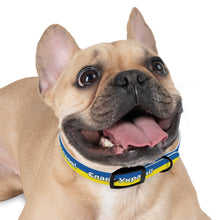 Load image into Gallery viewer, Dog Collar We stand with Ukraine