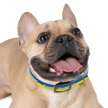 Load image into Gallery viewer, Dog Collar We stand with Ukraine