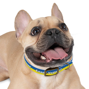 Dog Collar We stand with Ukraine