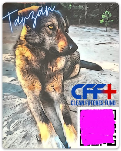 Dogs of Chernobyl Sticker Series : Tarzan