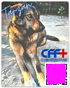 Dogs of Chernobyl Sticker Series : Tarzan