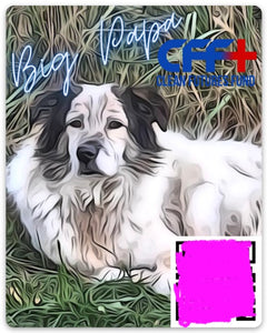 Dogs of Chernobyl Sticker Series : Big Papa