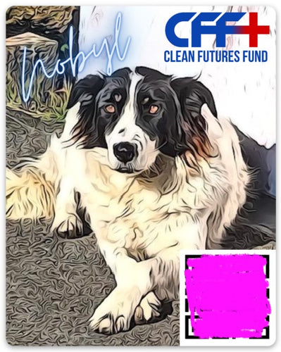 Dogs of Chernobyl Sticker Series : Nobyl