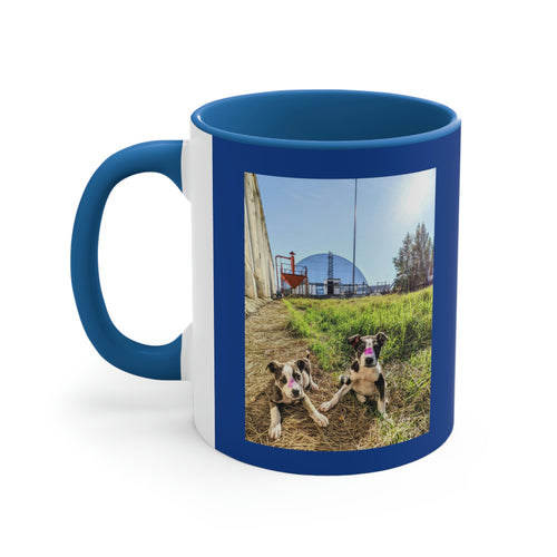 Dogs of Chornobyl Accent Coffee Mug, 11oz